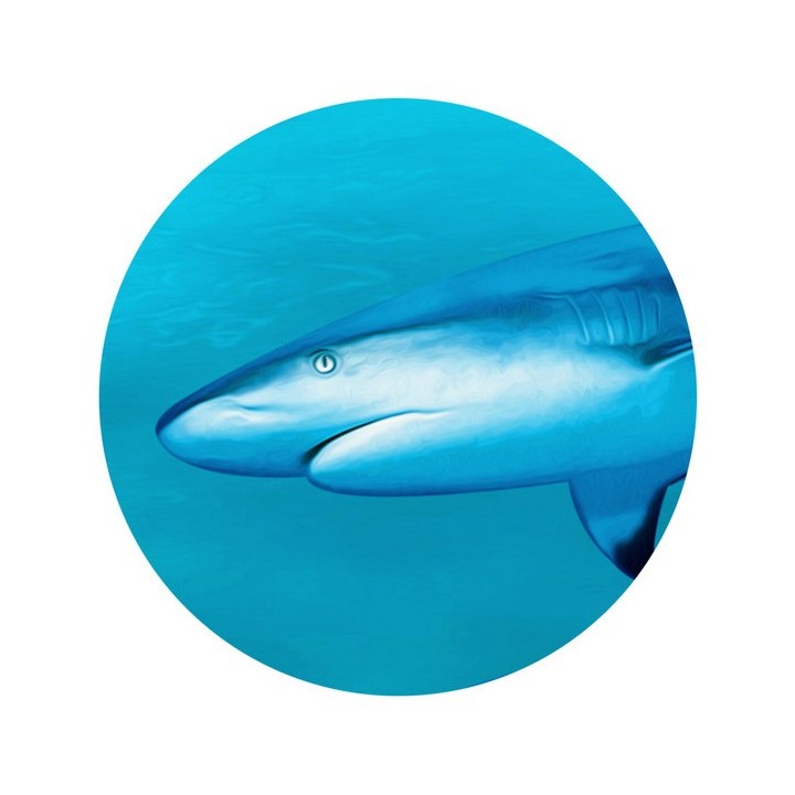 Poster géant mural grand format panoramique paysage fond marin - Les requins
