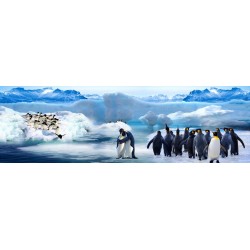 Poster géant mural grand format panoramique paysage polaire - Les pingouins