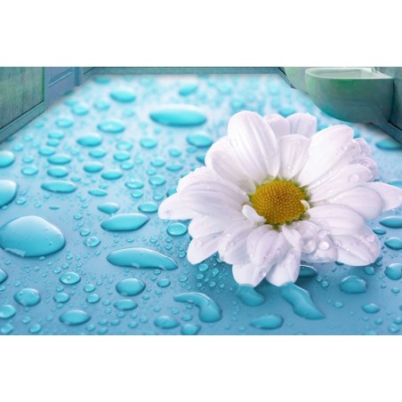 Revêtement de sol fleur salle de bain trompe l'oeil 3D - Marguerite avec les gouttes d'eau sur fond bleu