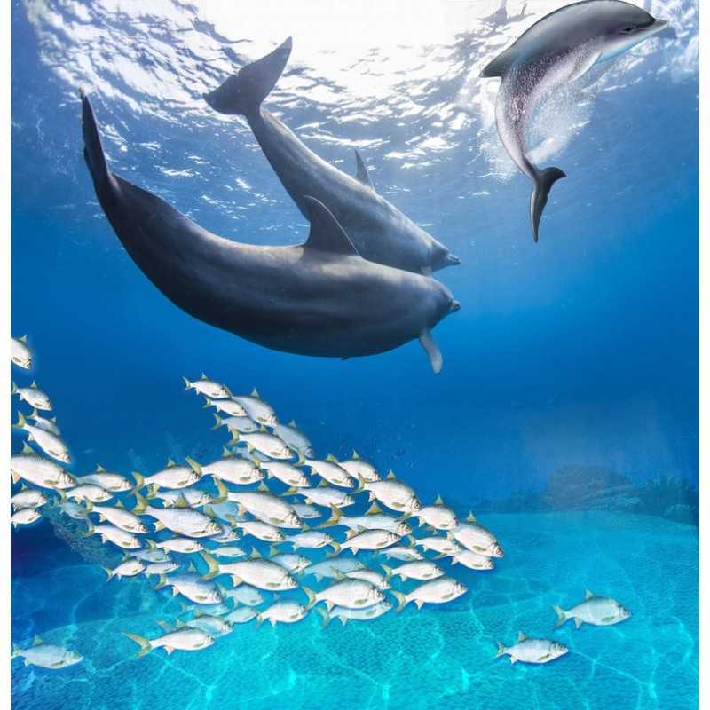 Revêtement de sol paysage fond marin trompe l'oeil 3D - Les dauphins avec les poissons