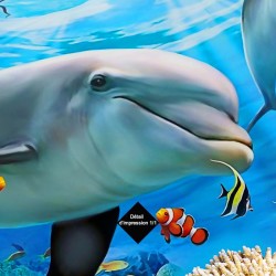 Revêtement de sol salle de bain trompe l'oeil 3D - Paysage depuis le hublot sous marin les dauphins