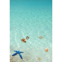 Revêtement de sol 3D salle de bain paysage océan - L'étoile de mer bleur et les coquillages