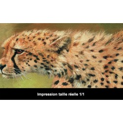 Papier peint animaux sauvages issu d'un tableau d'artiste - Les 2 guépards dans la savane