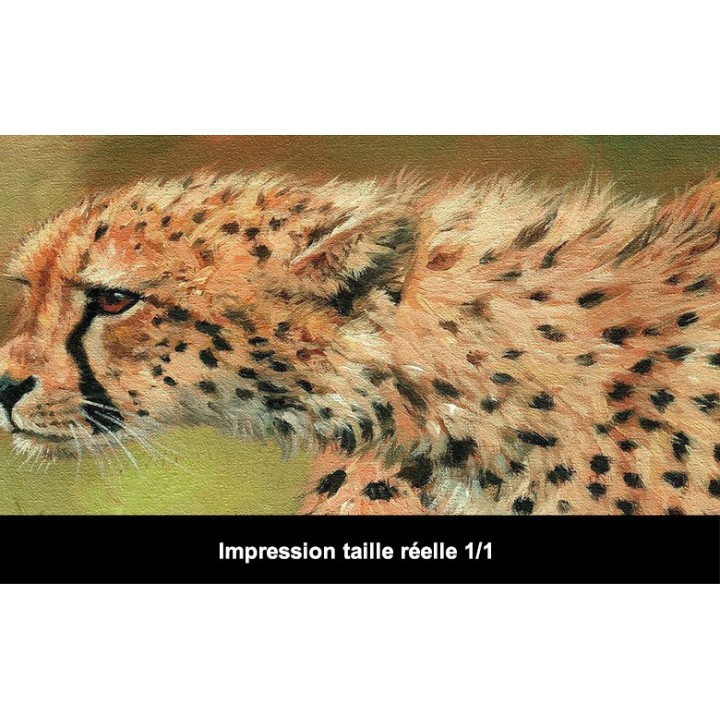 Papier peint animaux sauvages issu d'un tableau d'artiste - Les 2 guépards dans la savane