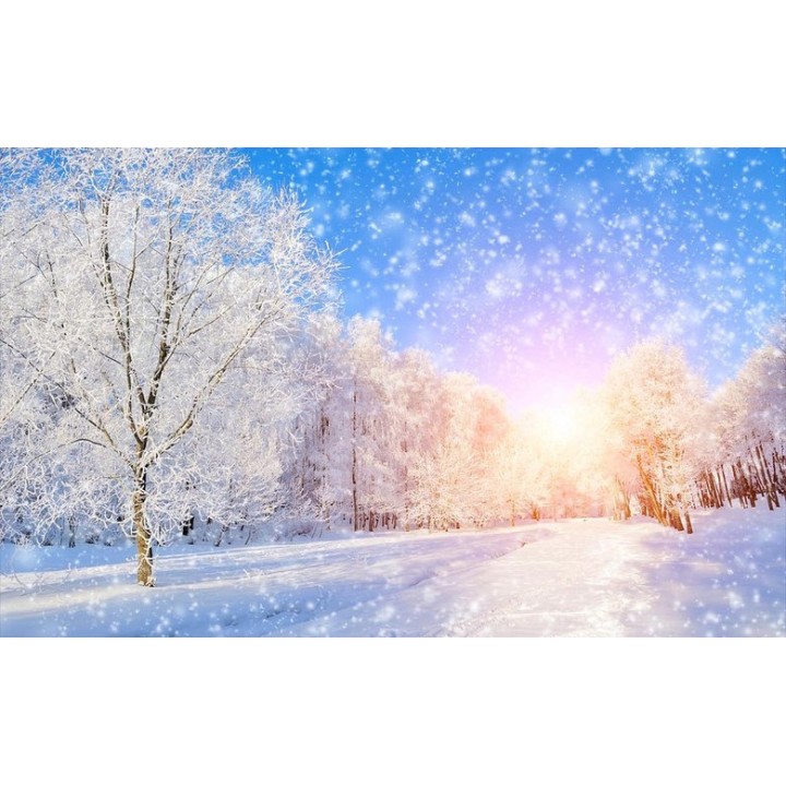 Paysage d'hiver - Allée enneigée sous le soleil du petit matin