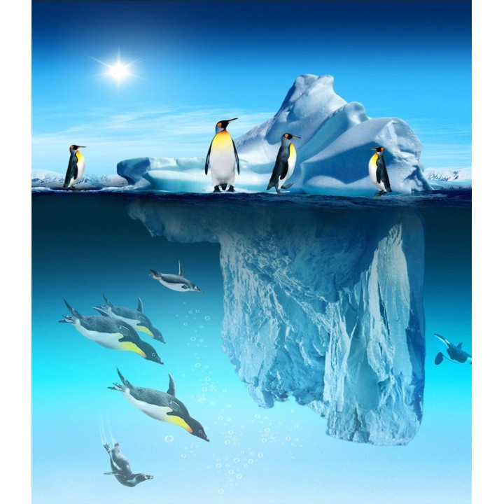 Papier peint photo animaux paysage polaire - Les pingouins