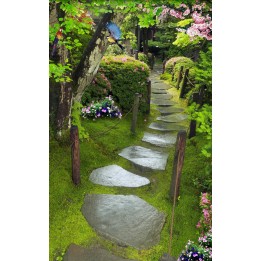 Paysage zen - Jardin japonais sous la pluie
