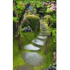 Paysage zen - Jardin japonais sous la pluie
