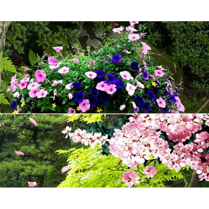 Paysage zen - Jardin japonais sous la pluie