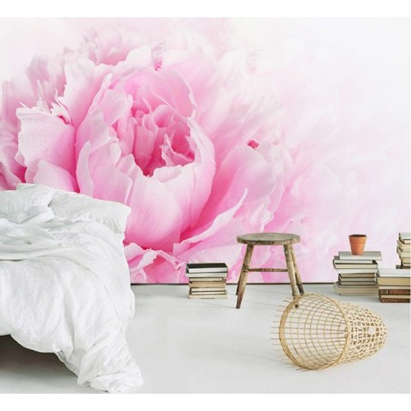 Papier peint photo romantique macrophotographie - Pivoine rose