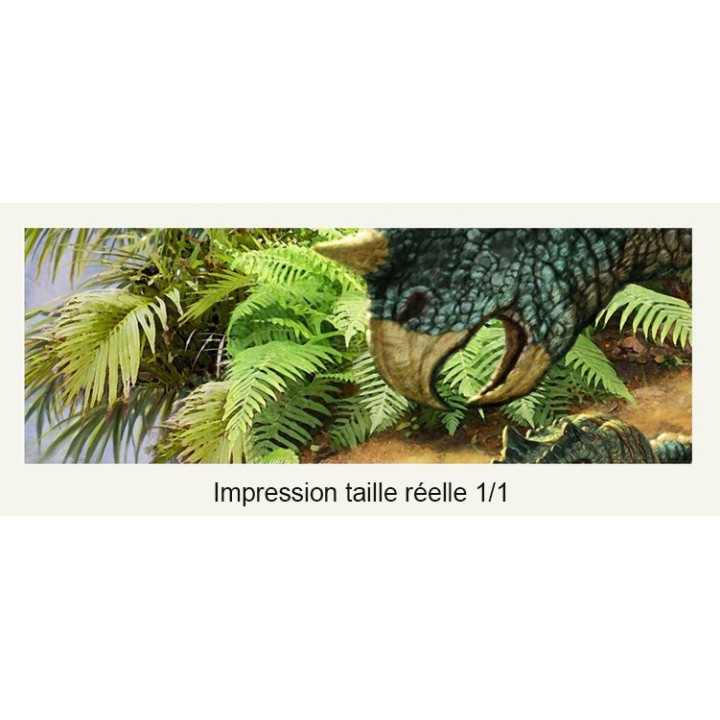 Tapisserie murale XXL chambre d'enfant spécial dinosaure - Les dinosaures dans la vallée