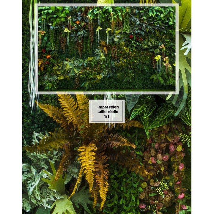 Mur végétal - Les plantes grimpantes de la jungle