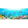 Décoration murale grand panoramique paysage fond marin - Les daupins, les coraux et les poissons