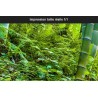 Décoration murale grand panoramique paysage nature - La forêt de bambou