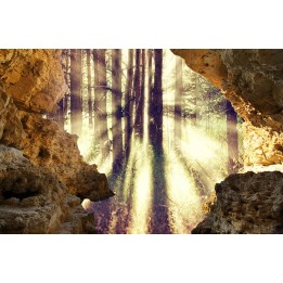 Papier peint photo trompe l'œil 3D trou au mur paysage nature - Le soleil dans la forêt