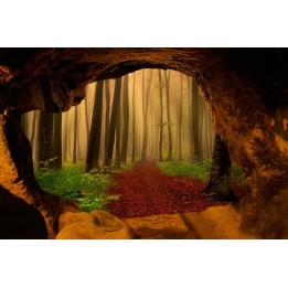Papier peint photo trompe l'œil 3D trou au mur paysage nature - Forêt dans le brouillard