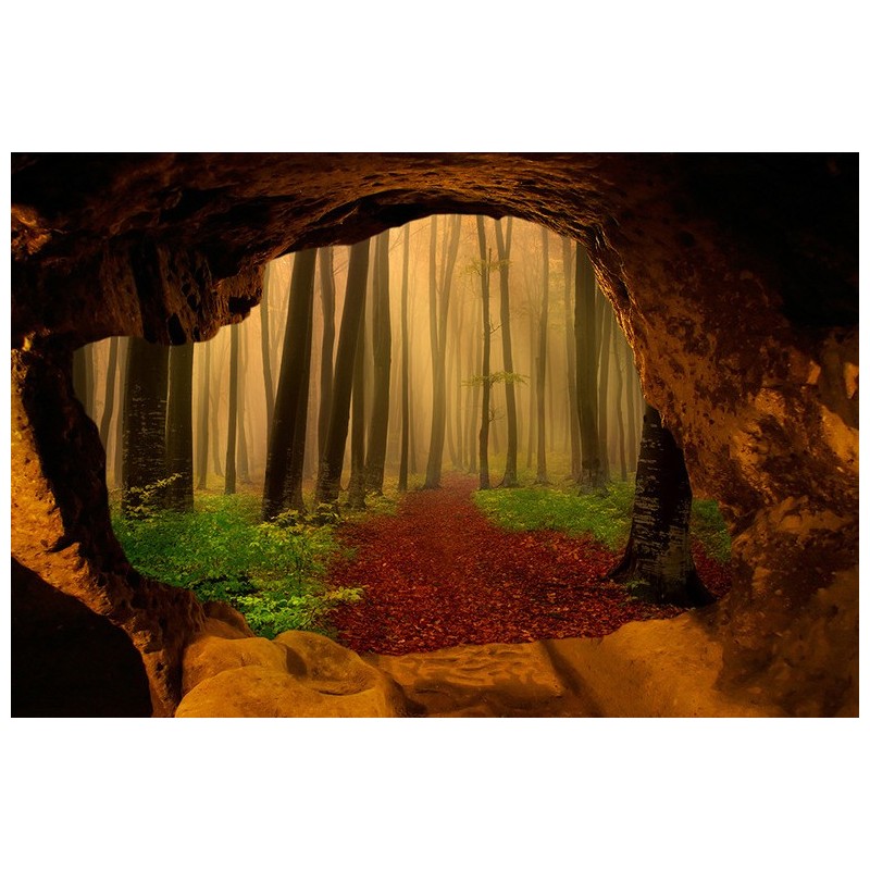 Papier peint photo trompe l'œil 3D trou au mur paysage nature - Forêt dans le brouillard