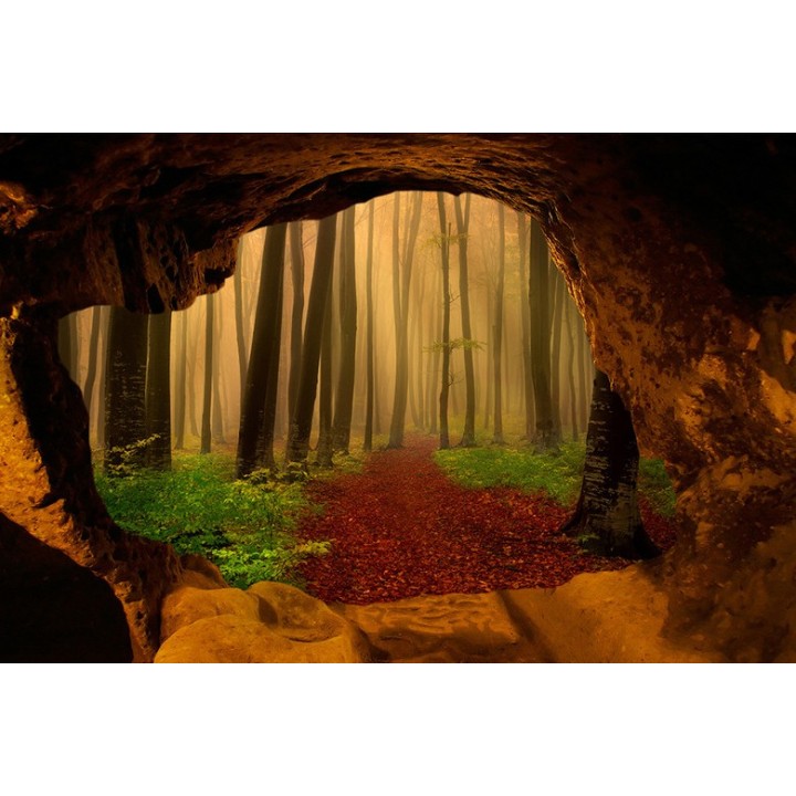 Papier peint photo trompe l'œil 3D trou au mur paysage nature - Forêt dans le brouillard