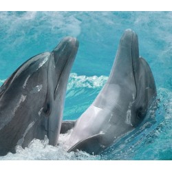 Revêtement sol trompe l'œil 3D paysage océan - Les dauphins dans les vagues