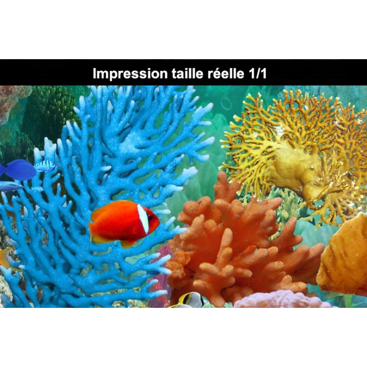 Lino Imprimé Photo Trompe l'œil 3D Fond Marin Dauphin Coraux