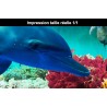 Revêtement sol trompe l'œil 3D paysage fond marin - Les dauphins et les coraux colorés