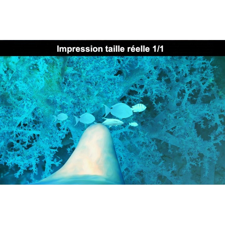 Lino Imprimé Photo Trompe l'œil 3D Fond Marin Dauphin Coraux