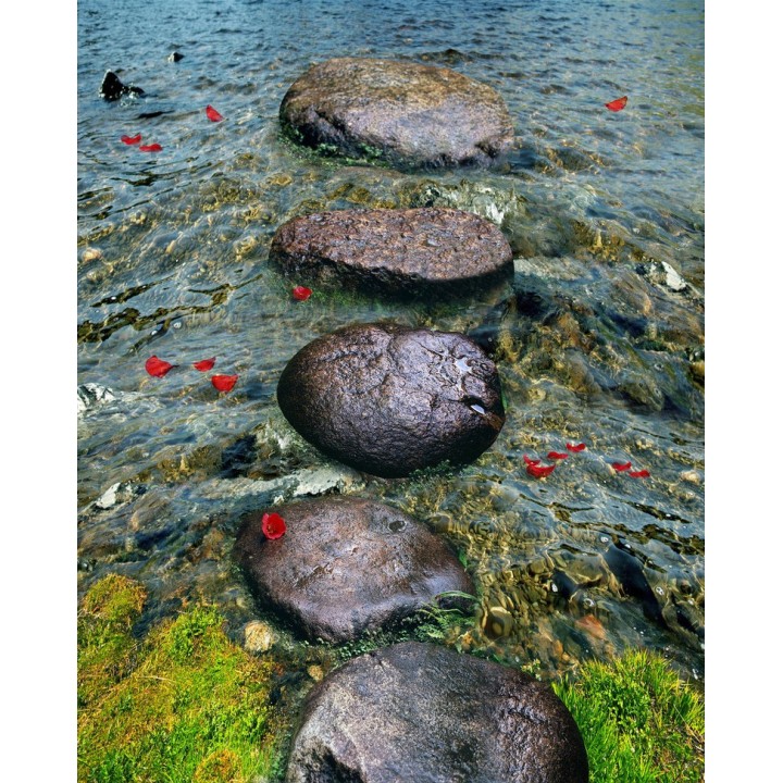Revêtement de sol trompe l'œil 3D paysage nature - Les pas japonais dans la rivière avec les pétales rouges