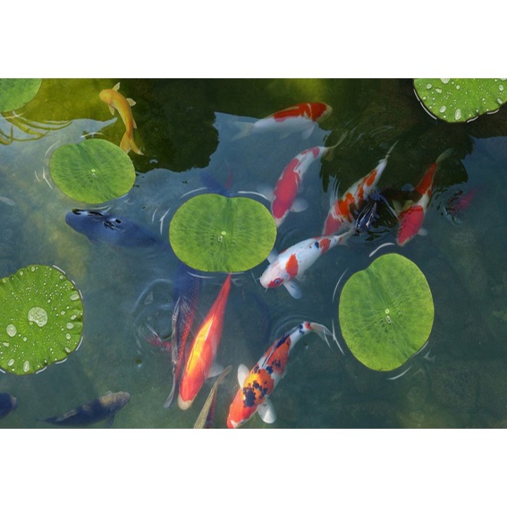 Revêtement de sol zen trompe l'œil 3D - Les carpes et les feuilles de nénuphar