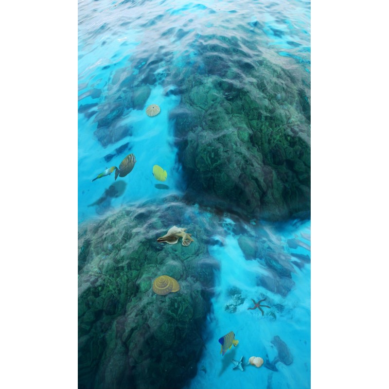 Revêtement de sol trompe l'œil 3D paysage de la mer - Les rochers, les poissons et les coquillages