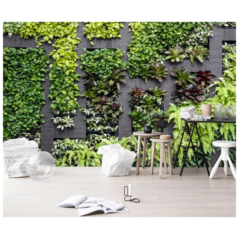 Mur végétal - Les plantes grimpantes avec séparation en bois foncé