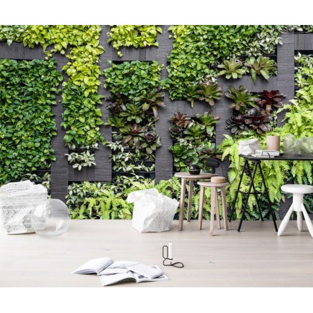 Mur végétal - Les plantes grimpantes avec séparation en bois foncé