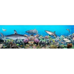 Décoration murale grand panoramique paysage fond marin - Les requins