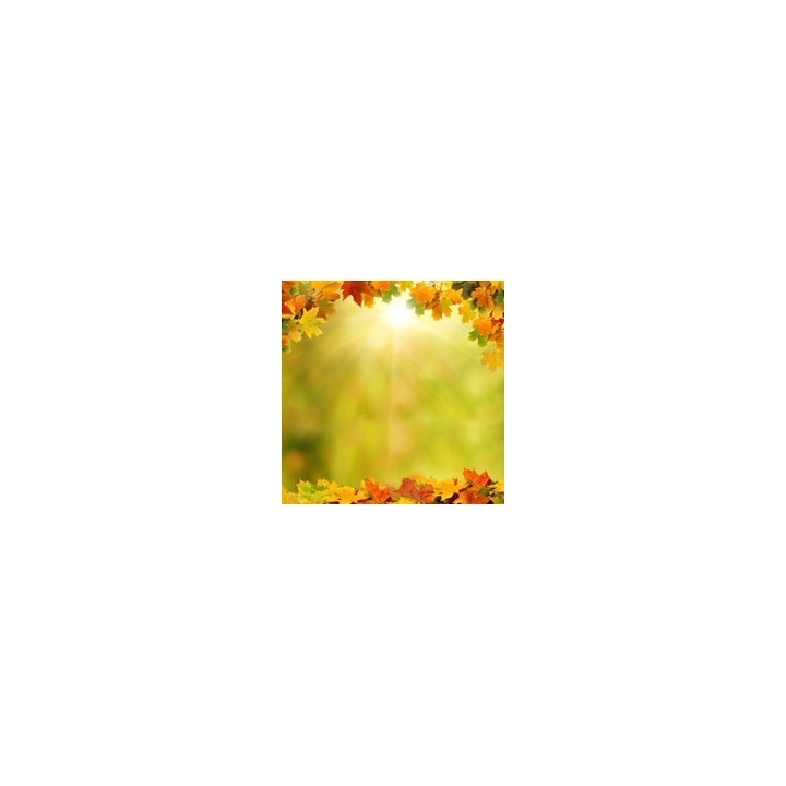 Décor plafond paysage nature - Le ciel d'automne