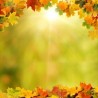 Décor plafond paysage nature - Le ciel d'automne