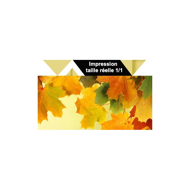 Décor plafond paysage nature - Le ciel d'automne