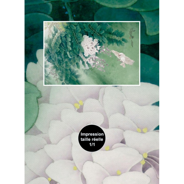Tapisserie florale papier peint asiatique fleurs et oiseaux - La glycine et l'oiseau blanc
