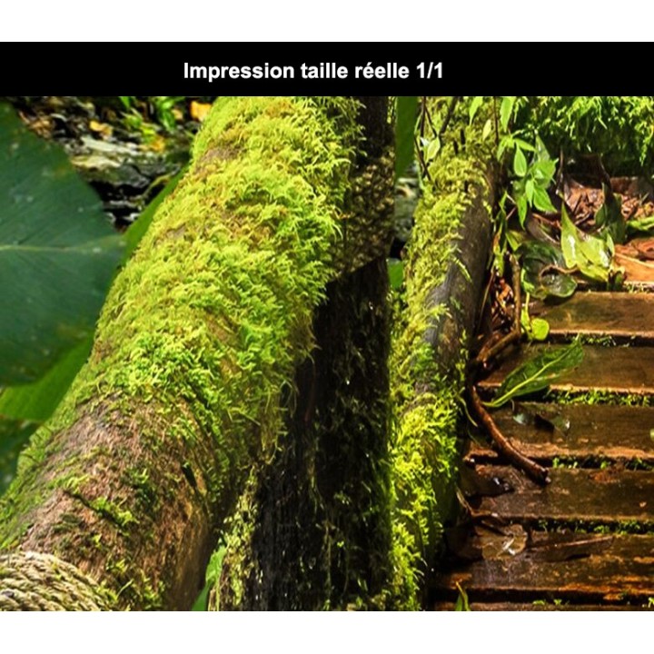 Papier peint photo paysage nature format portrait (vertical)  - Pont en bois dans la forêt