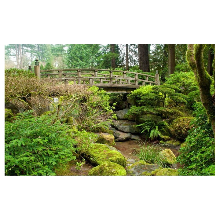 Papier peint japonais - Jardin zen