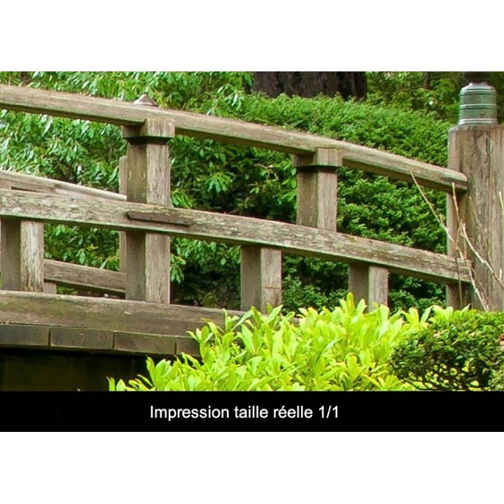Papier peint japonais - Jardin zen