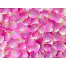 Revêtement de sol romantique - Les pétales de rose