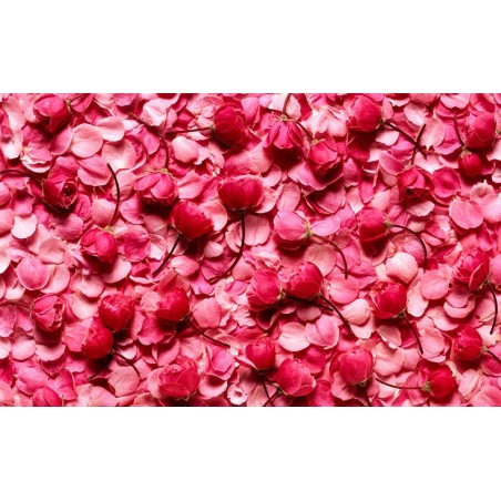 Revêtement de sol romantique - Les roses rouges