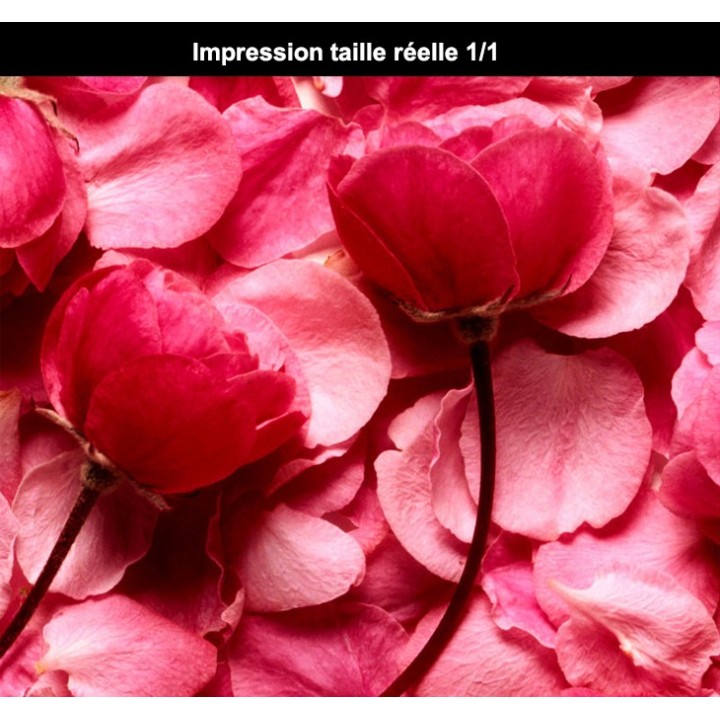 Revêtement de sol romantique - Les roses rouges