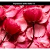 Revêtement de sol romantique - Les roses rouges