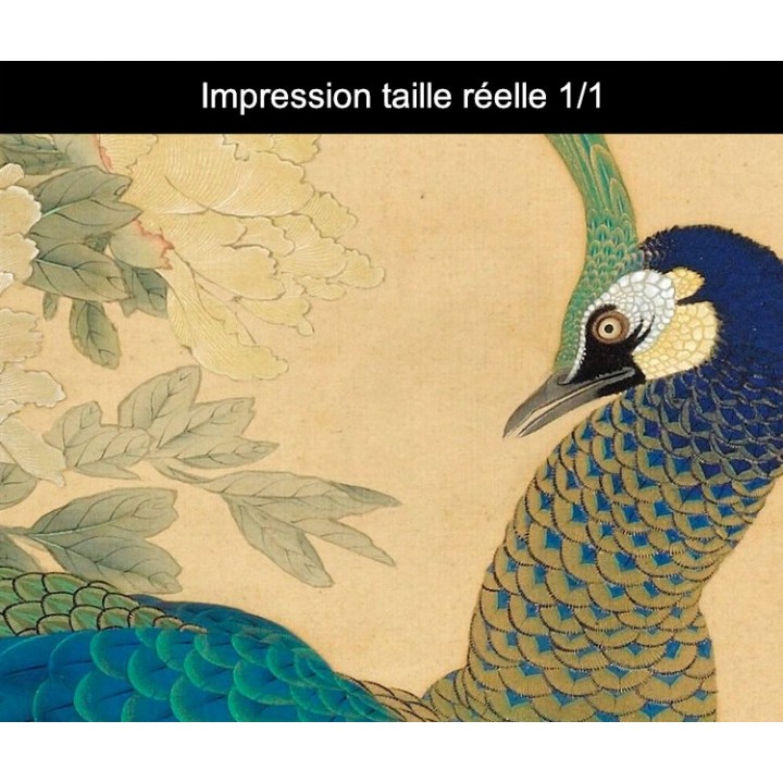 Papier peint japonais issu d'un ukiyo-e format vertical (portrait) - Le paon sur le rocher avec les pivoines