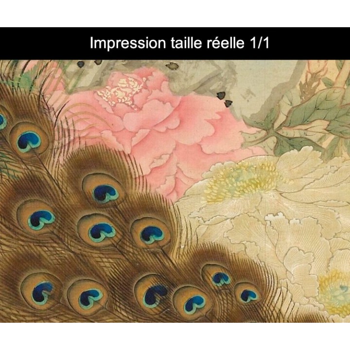 Papier peint japonais issu d'un ukiyo-e format vertical (portrait) - Le paon sur le rocher avec les pivoines