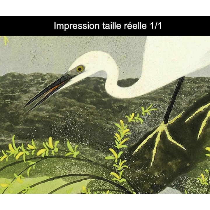 Papier peint japonais 2 volets issu d'un ukiyo-e - Les aigrettes sur le saule pleureur en printemps