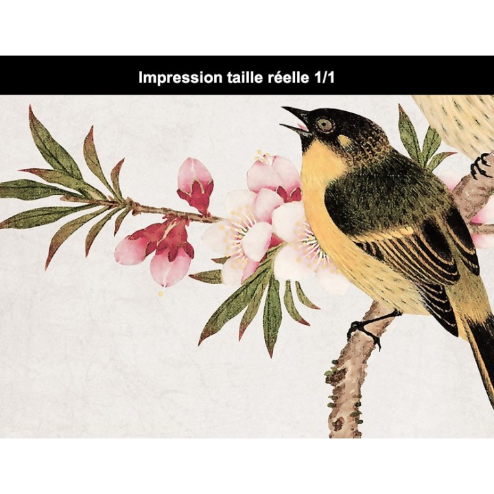 Papier peint chinois zen fleurs et oiseaux - Les fleurs de pêcher et les oiseaux