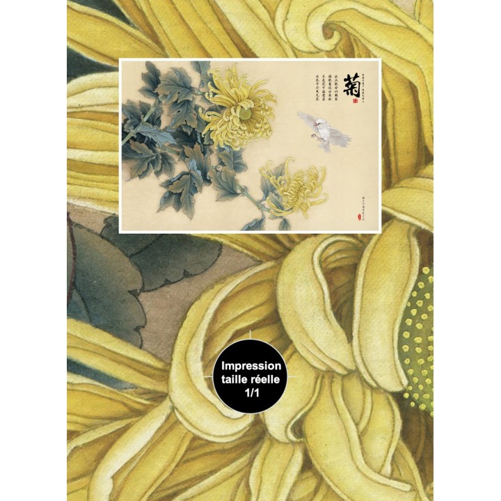 Papier peint chinois zen fleurs et oiseaux - Les chrysanthèmes jaunes et l'oiseau blanc
