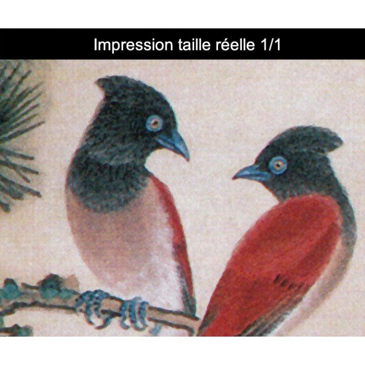 Peinture chinoise zen fleurs et oiseaux - Les grues, les pivoines et les oiseaux