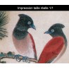 Peinture chinoise zen fleurs et oiseaux - Les grues, les pivoines et les oiseaux